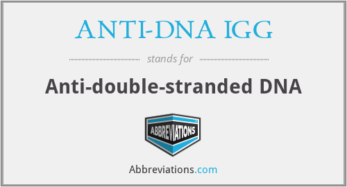 ANTI-DNA IGG - Anti-double-stranded DNA